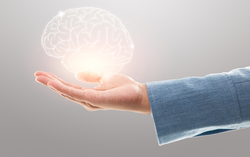 המוח והחיים, מרצה: ד"ר בלתזר רועי תירוש