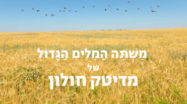 תן למילים - משתה המילים הגדול