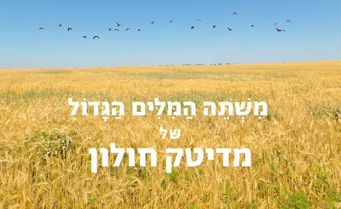 תן למילים - משתה המילים הגדול